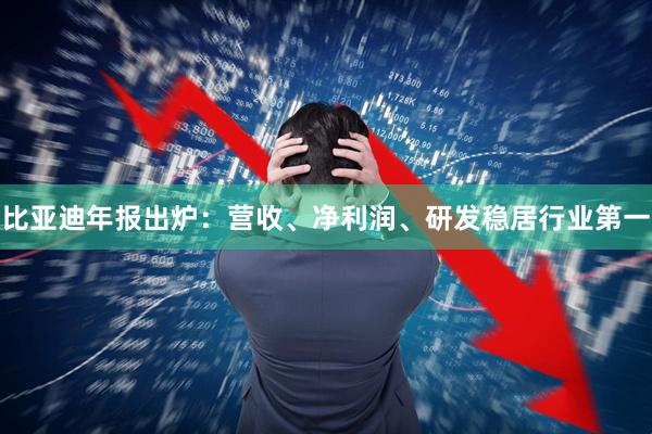 比亚迪年报出炉：营收、净利润、研发稳居行业第一